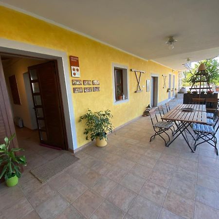 Med Oljkami Apartment Κόπερ Εξωτερικό φωτογραφία