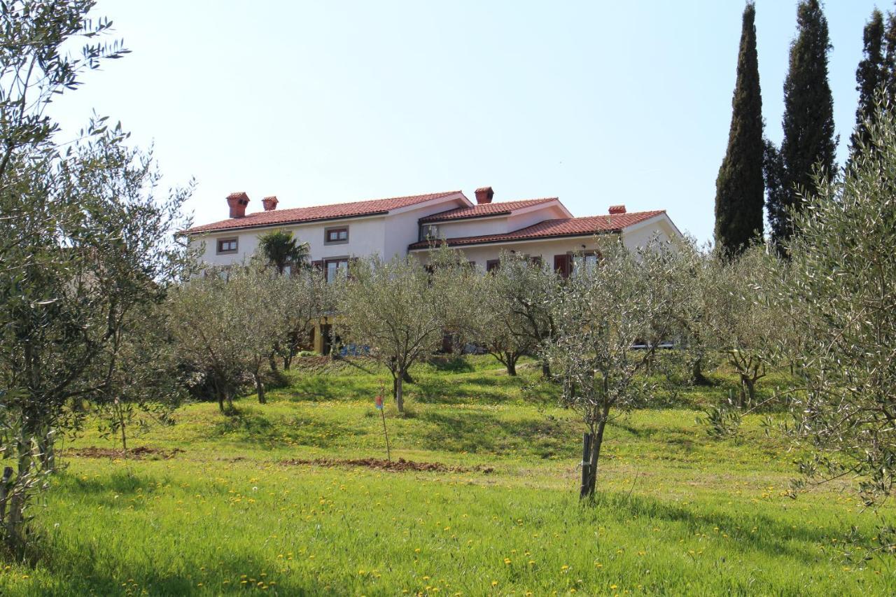 Med Oljkami Apartment Κόπερ Εξωτερικό φωτογραφία