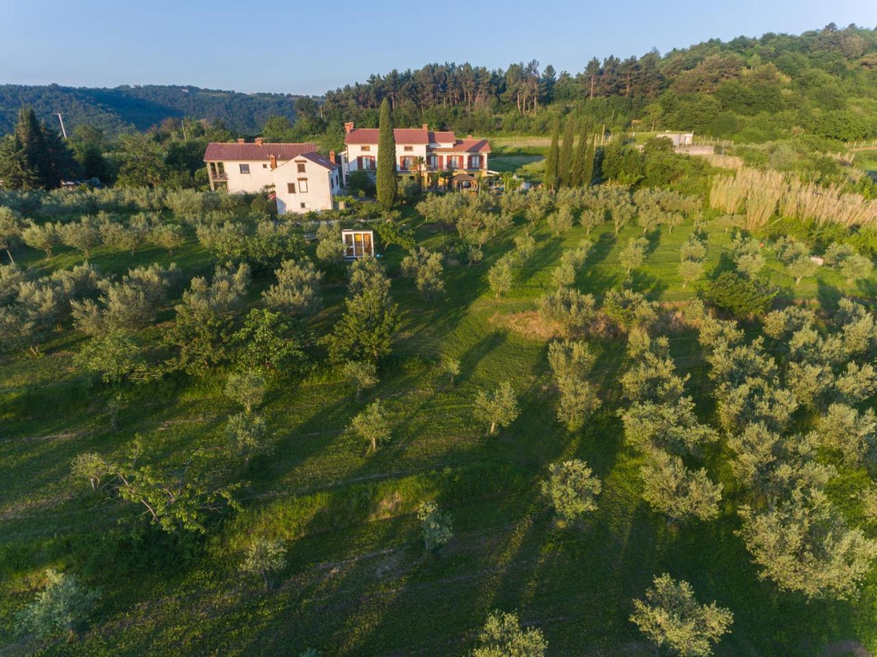Med Oljkami Apartment Κόπερ Εξωτερικό φωτογραφία